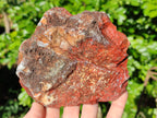 Natural Red Jasper Cobbed Specimens x 3 From Northern Cape, South Africa - Toprock Gemstones and Minerals 
