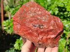 Natural Red Jasper Cobbed Specimens x 3 From Northern Cape, South Africa - Toprock Gemstones and Minerals 