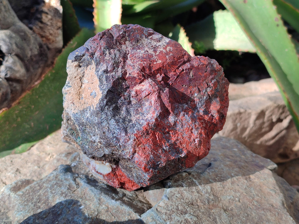 Natural Red Jasper Cobbed Specimens x 3 From Northern Cape, South Africa - Toprock Gemstones and Minerals 