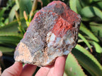 Natural Red Jasper Cobbed Specimens x 3 From Northern Cape, South Africa - Toprock Gemstones and Minerals 