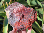 Natural Red Jasper Cobbed Specimens x 3 From Northern Cape, South Africa - Toprock Gemstones and Minerals 