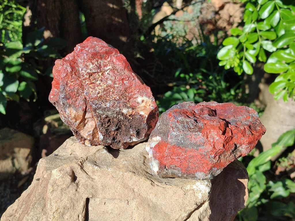 Natural Red Jasper Cobbed Specimens x 3 From Northern Cape, South Africa - Toprock Gemstones and Minerals 