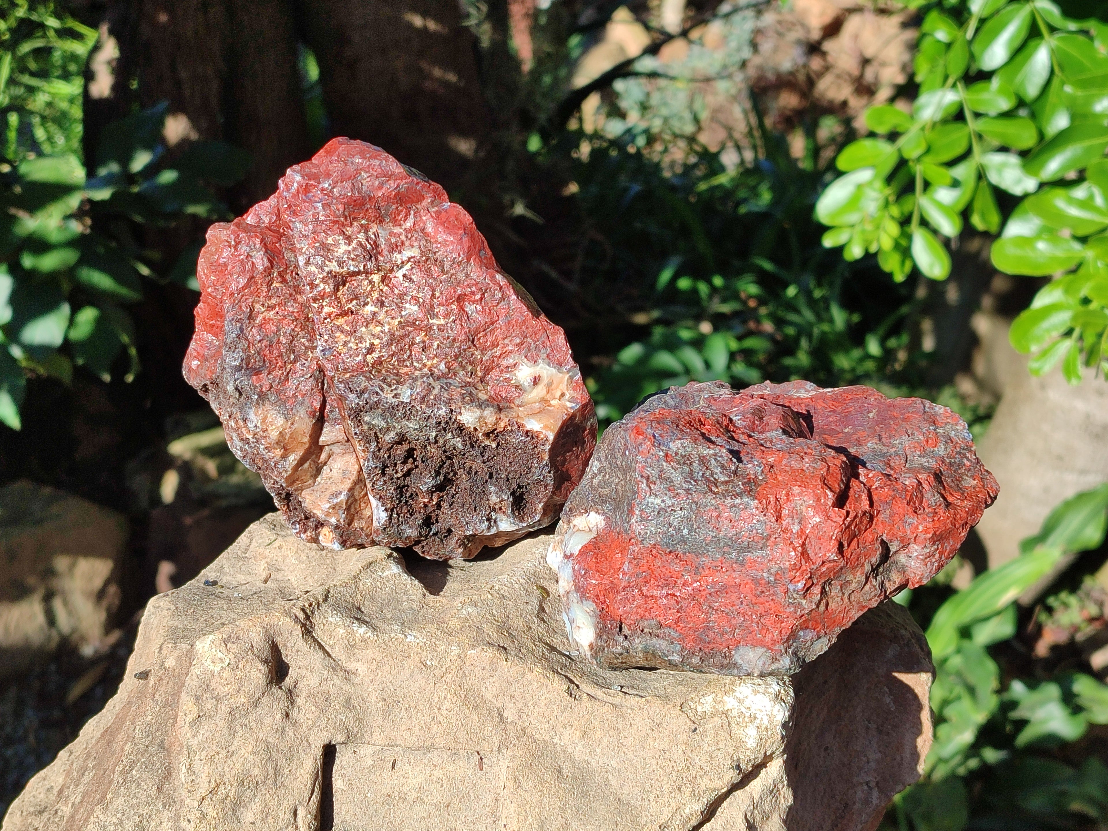 Natural Red Jasper Cobbed Specimens x 3 From Northern Cape, South Africa - Toprock Gemstones and Minerals 