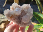 Natural Lilac Cactus Spirit Quartz Clusters x 6 From South Africa - Toprock Gemstones and Minerals 