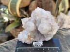 Natural Lilac Cactus Spirit Quartz Clusters x 6 From South Africa - Toprock Gemstones and Minerals 