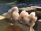 Natural Lilac Cactus Spirit Quartz Clusters x 6 From South Africa - Toprock Gemstones and Minerals 
