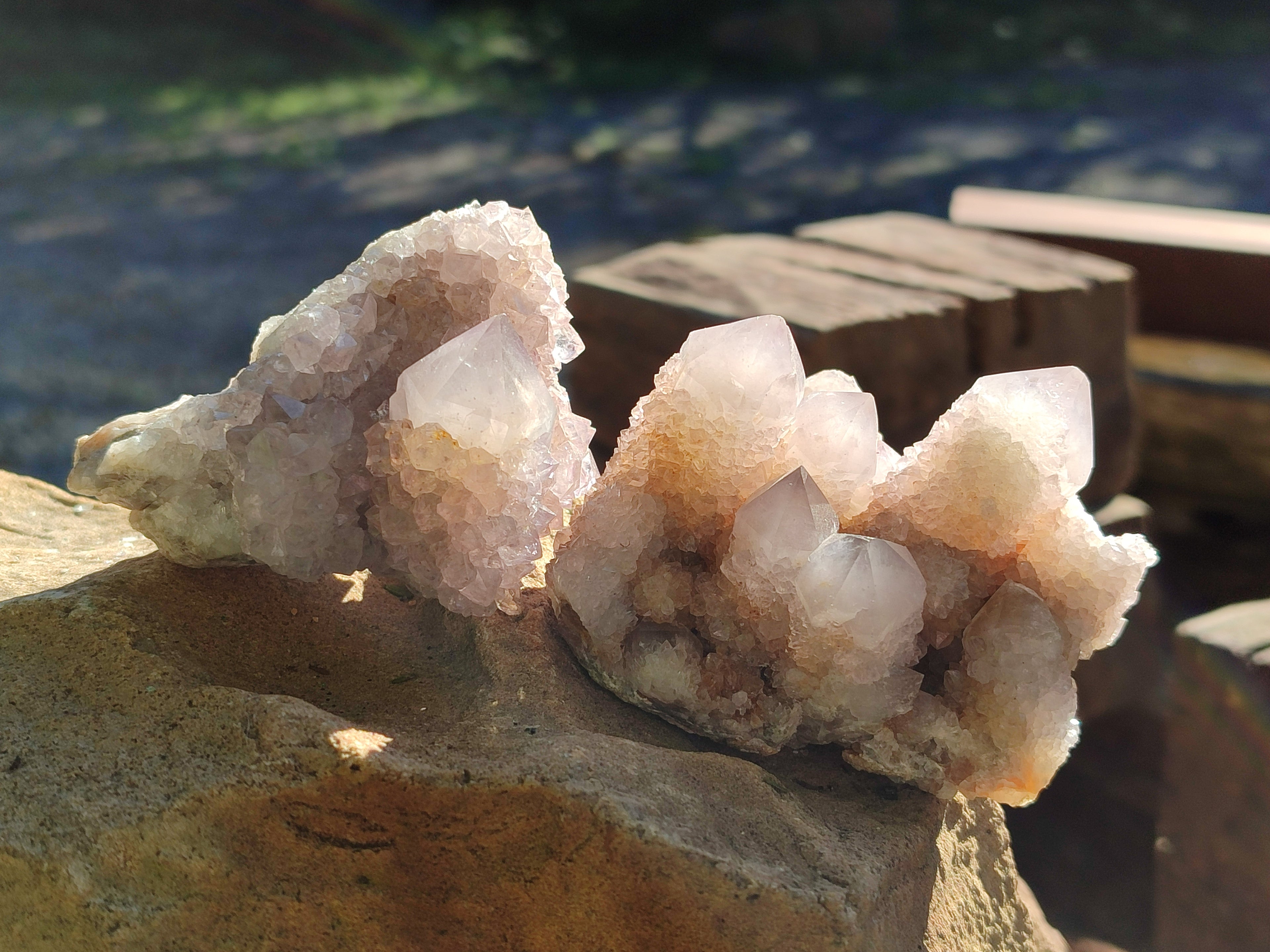 Natural Lilac Cactus Spirit Quartz Clusters x 6 From South Africa - Toprock Gemstones and Minerals 