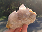 Natural Lilac Cactus Spirit Quartz Clusters x 6 From South Africa - Toprock Gemstones and Minerals 