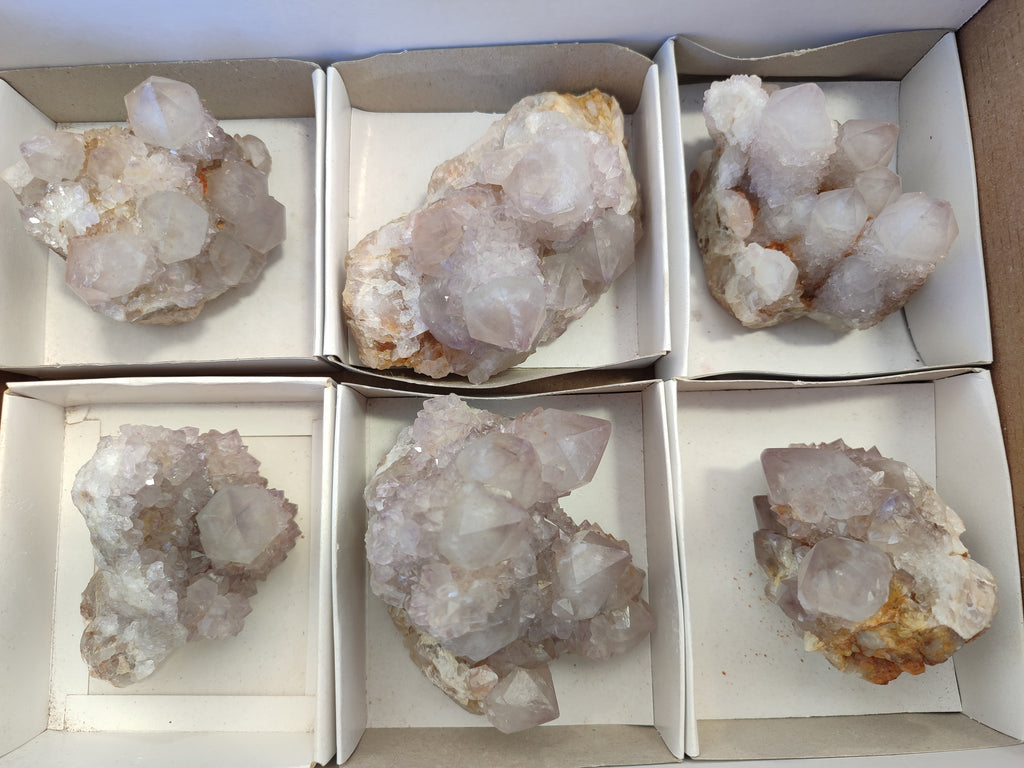 Natural Lilac Cactus Spirit Quartz Clusters x 6 From South Africa - Toprock Gemstones and Minerals 