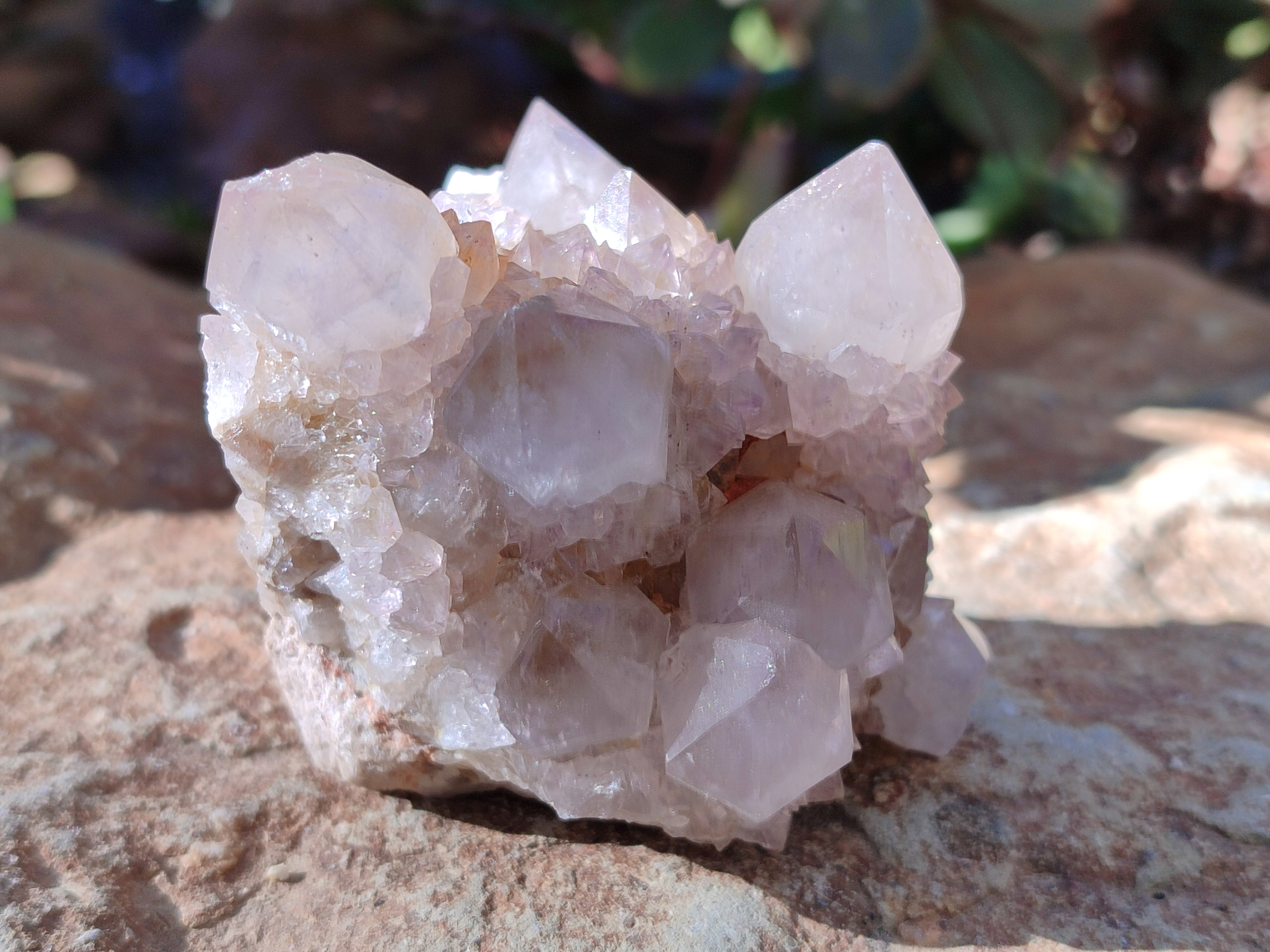 Natural Lilac Cactus Spirit Quartz Clusters x 6 From South Africa - Toprock Gemstones and Minerals 