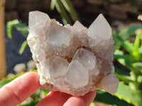 Natural Lilac Cactus Spirit Quartz Clusters x 6 From South Africa - Toprock Gemstones and Minerals 