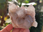Natural Lilac Cactus Spirit Quartz Clusters x 6 From South Africa - Toprock Gemstones and Minerals 