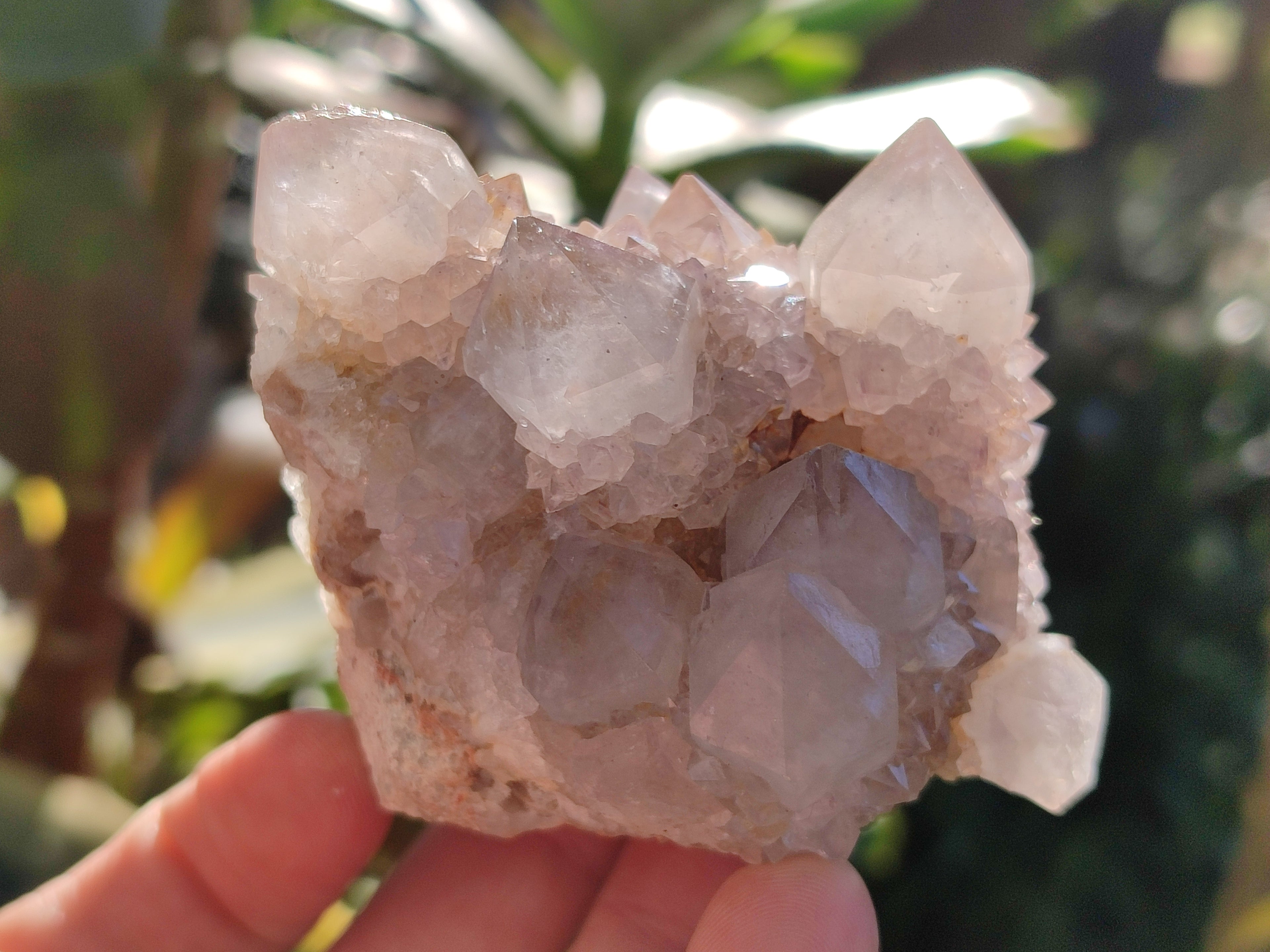 Natural Lilac Cactus Spirit Quartz Clusters x 6 From South Africa - Toprock Gemstones and Minerals 