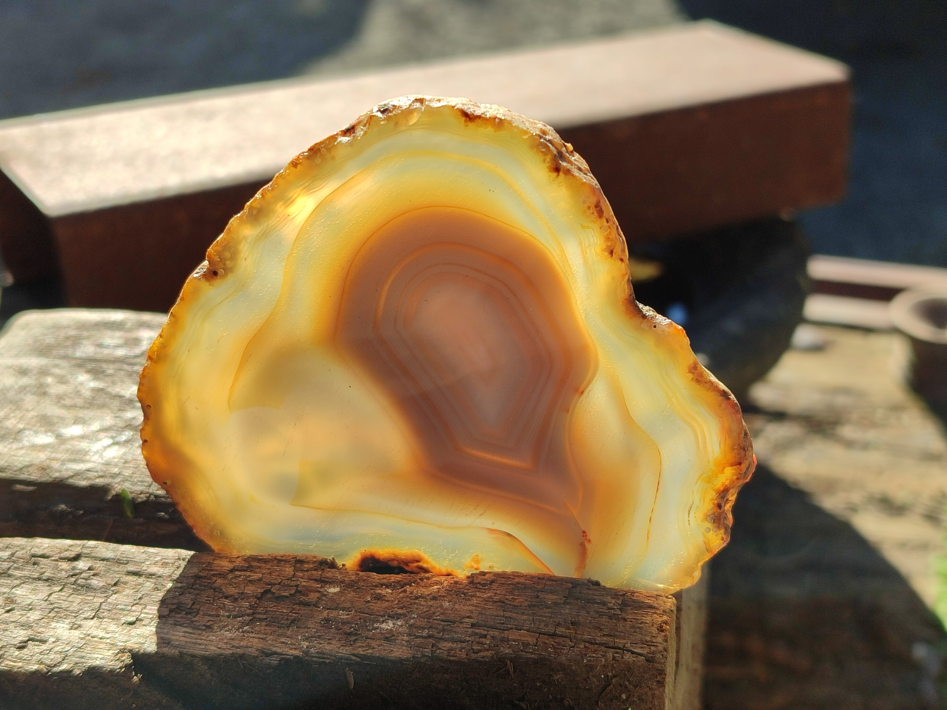 Polished Banded Agate Slices x 12 From Madagascar - Toprock Gemstones and Minerals 