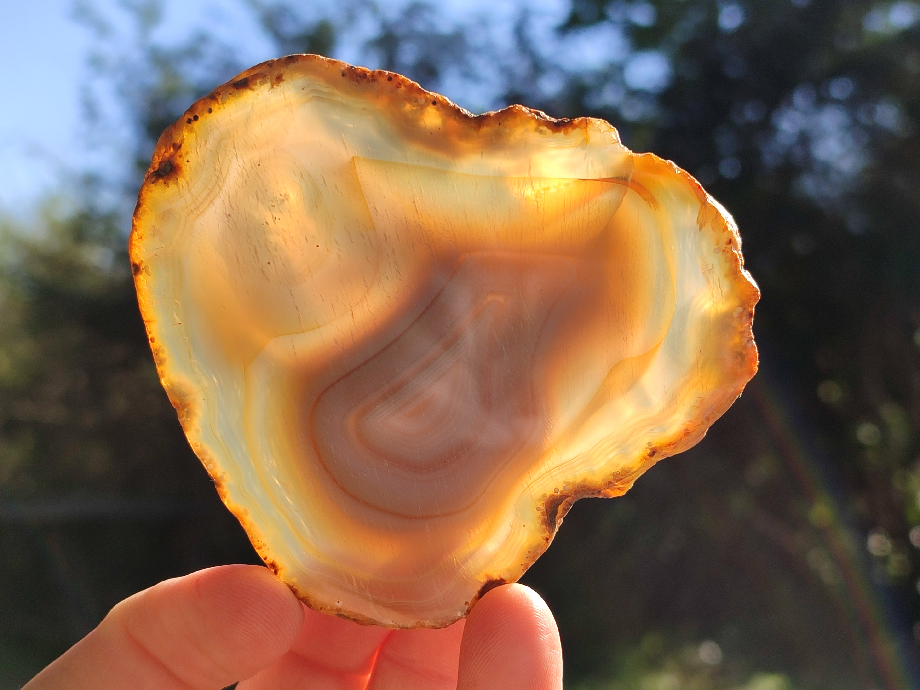 Polished Banded Agate Slices x 12 From Madagascar - Toprock Gemstones and Minerals 