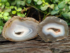 Polished Banded Agate Slices x 12 From Madagascar - Toprock Gemstones and Minerals 