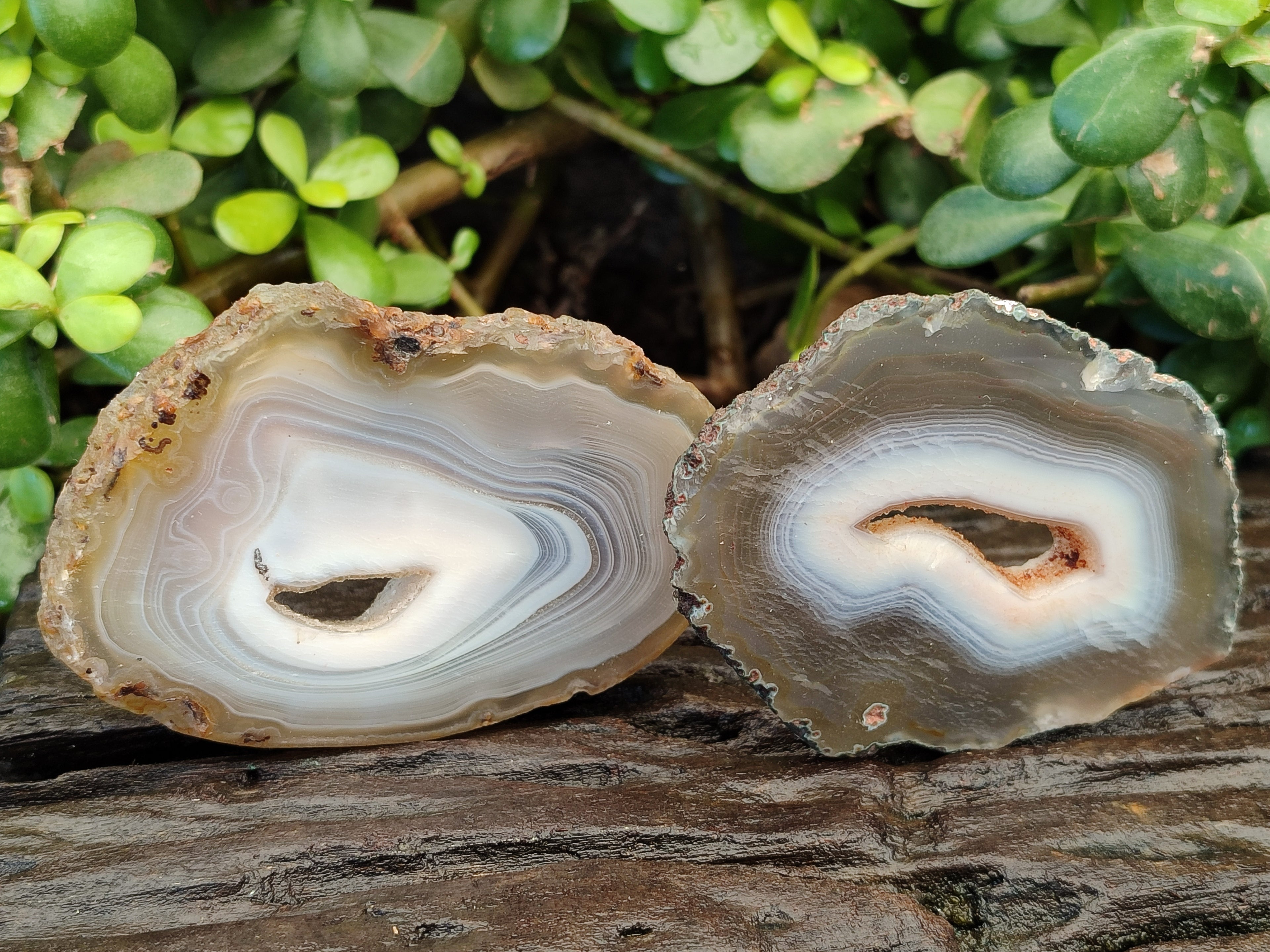 Polished Banded Agate Slices x 12 From Madagascar - Toprock Gemstones and Minerals 