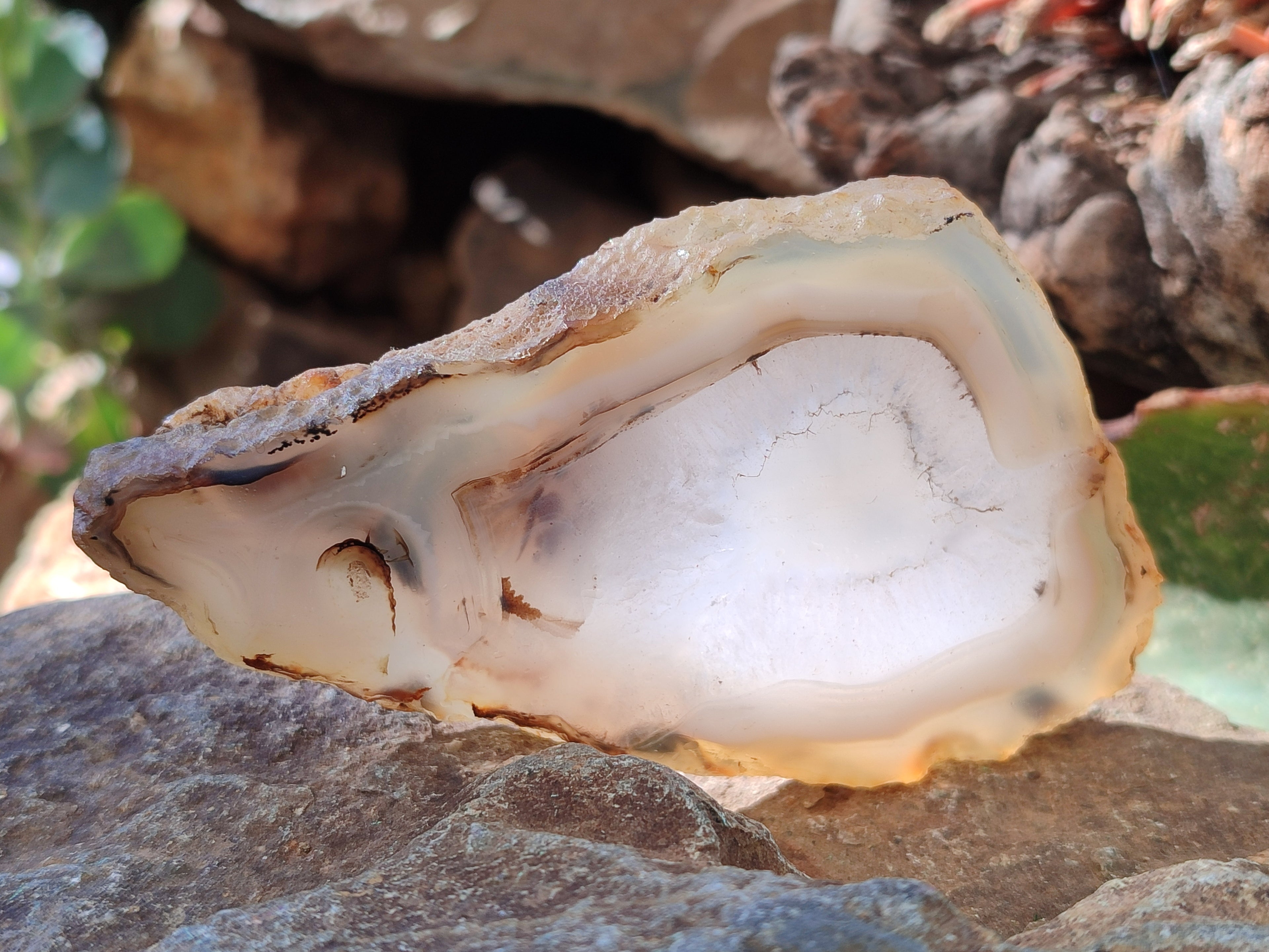 Polished Banded Agate Slices x 12 From Madagascar - Toprock Gemstones and Minerals 