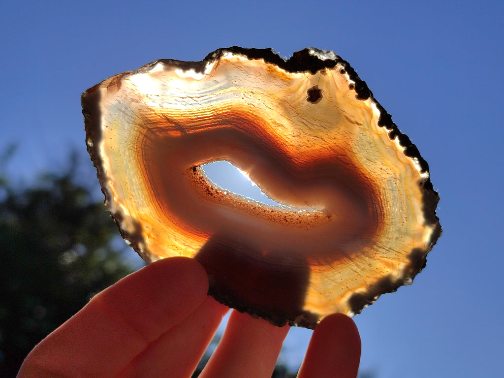 Polished Banded Agate Slices x 12 From Madagascar - Toprock Gemstones and Minerals 