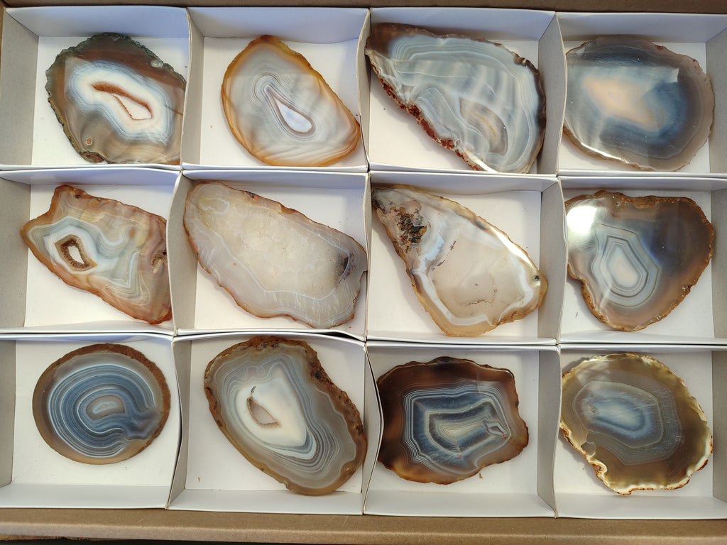 Polished Banded Agate Slices x 12 From Madagascar - Toprock Gemstones and Minerals 