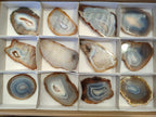 Polished Banded Agate Slices x 12 From Madagascar - Toprock Gemstones and Minerals 