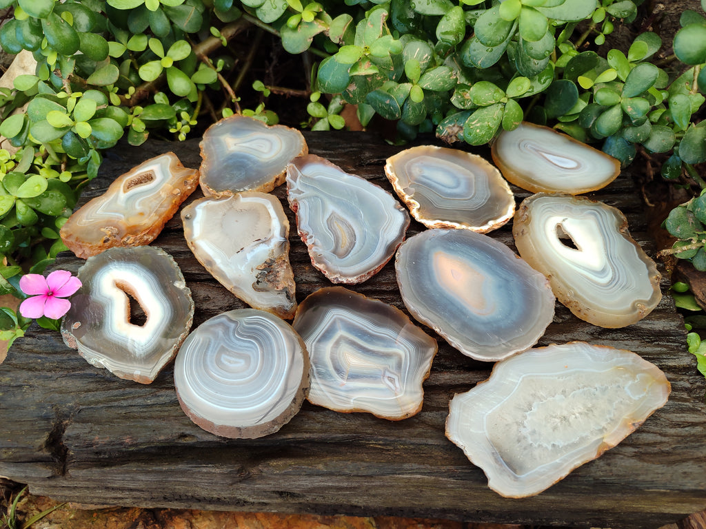 Polished Banded Agate Slices x 12 From Madagascar - Toprock Gemstones and Minerals 