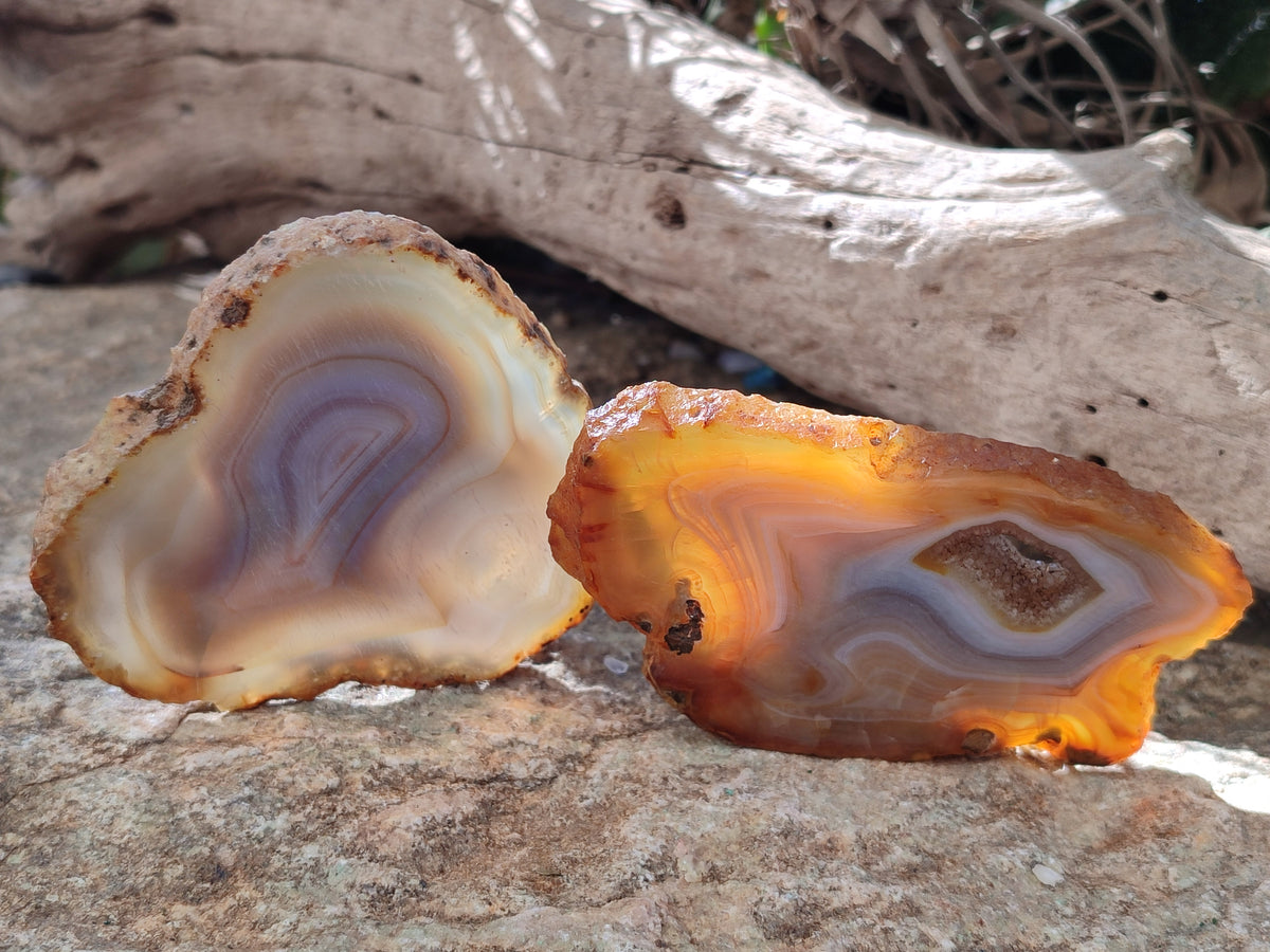 Polished Banded Agate Slices x 12 From Madagascar - Toprock Gemstones and Minerals 