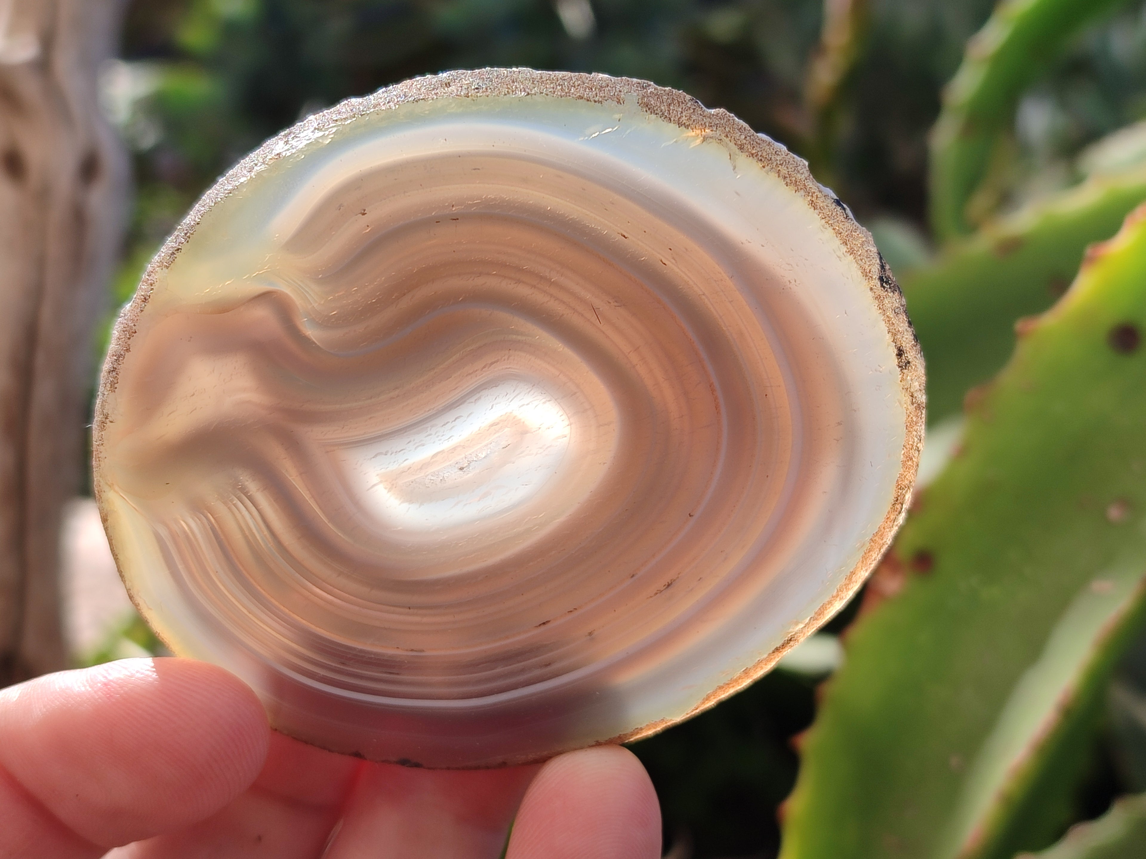 Polished Banded Agate Slices x 12 From Madagascar - Toprock Gemstones and Minerals 