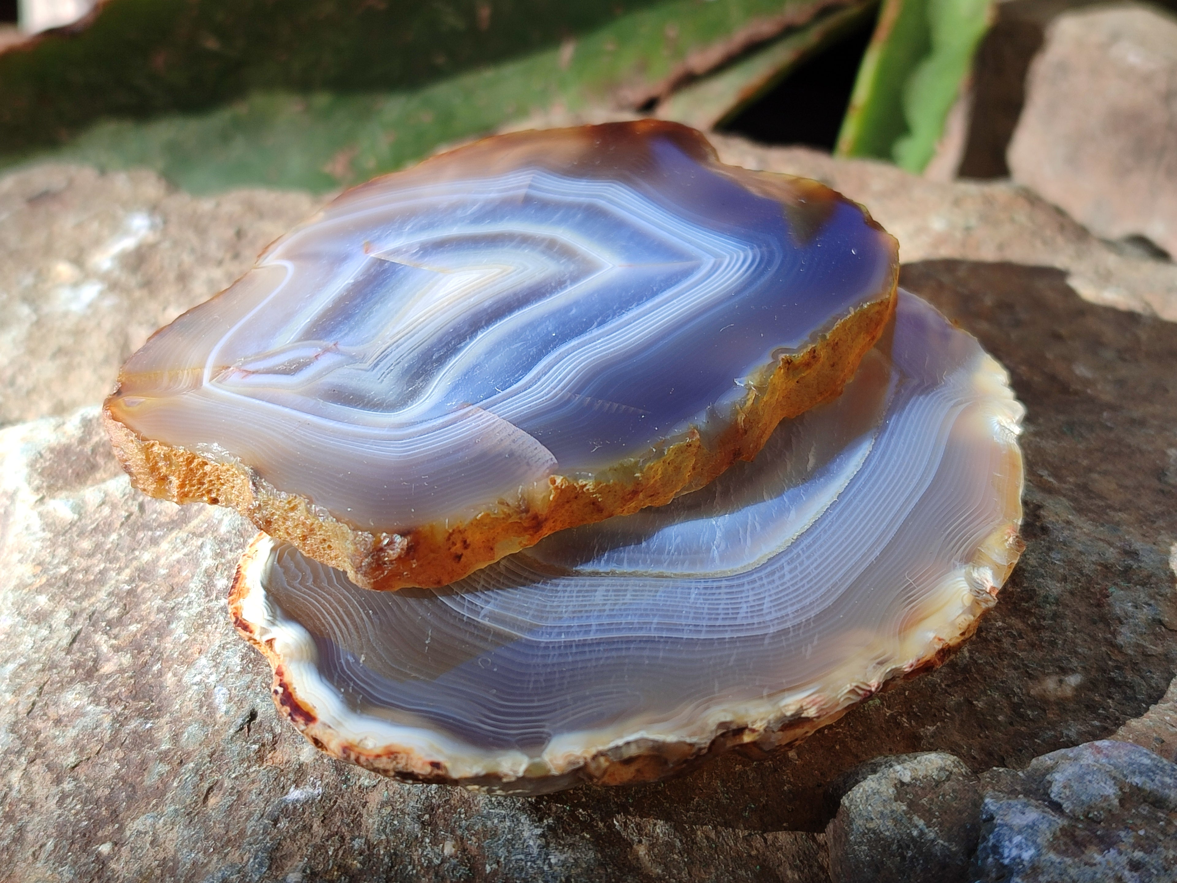 Polished Banded Agate Slices x 12 From Madagascar - Toprock Gemstones and Minerals 