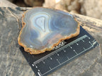 Polished Banded Agate Slices x 12 From Madagascar - Toprock Gemstones and Minerals 