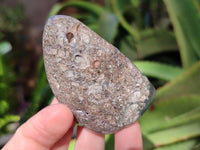 Polished Emerald Mtorolite Free Forms x 12 From Mutorashanga, Zimbabwe - Toprock Gemstones and Minerals 