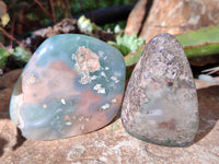 Polished Emerald Mtorolite Free Forms x 12 From Mutorashanga, Zimbabwe - Toprock Gemstones and Minerals 