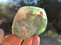 Polished Emerald Mtorolite Free Forms x 12 From Mutorashanga, Zimbabwe - Toprock Gemstones and Minerals 
