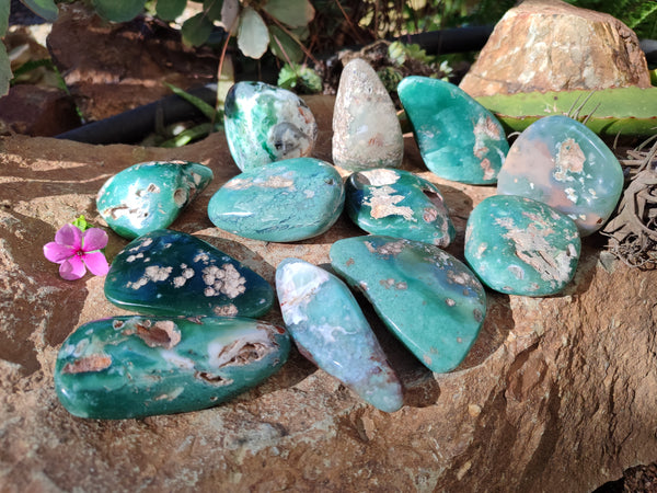 Polished Emerald Mtorolite Free Forms x 12 From Mutorashanga, Zimbabwe