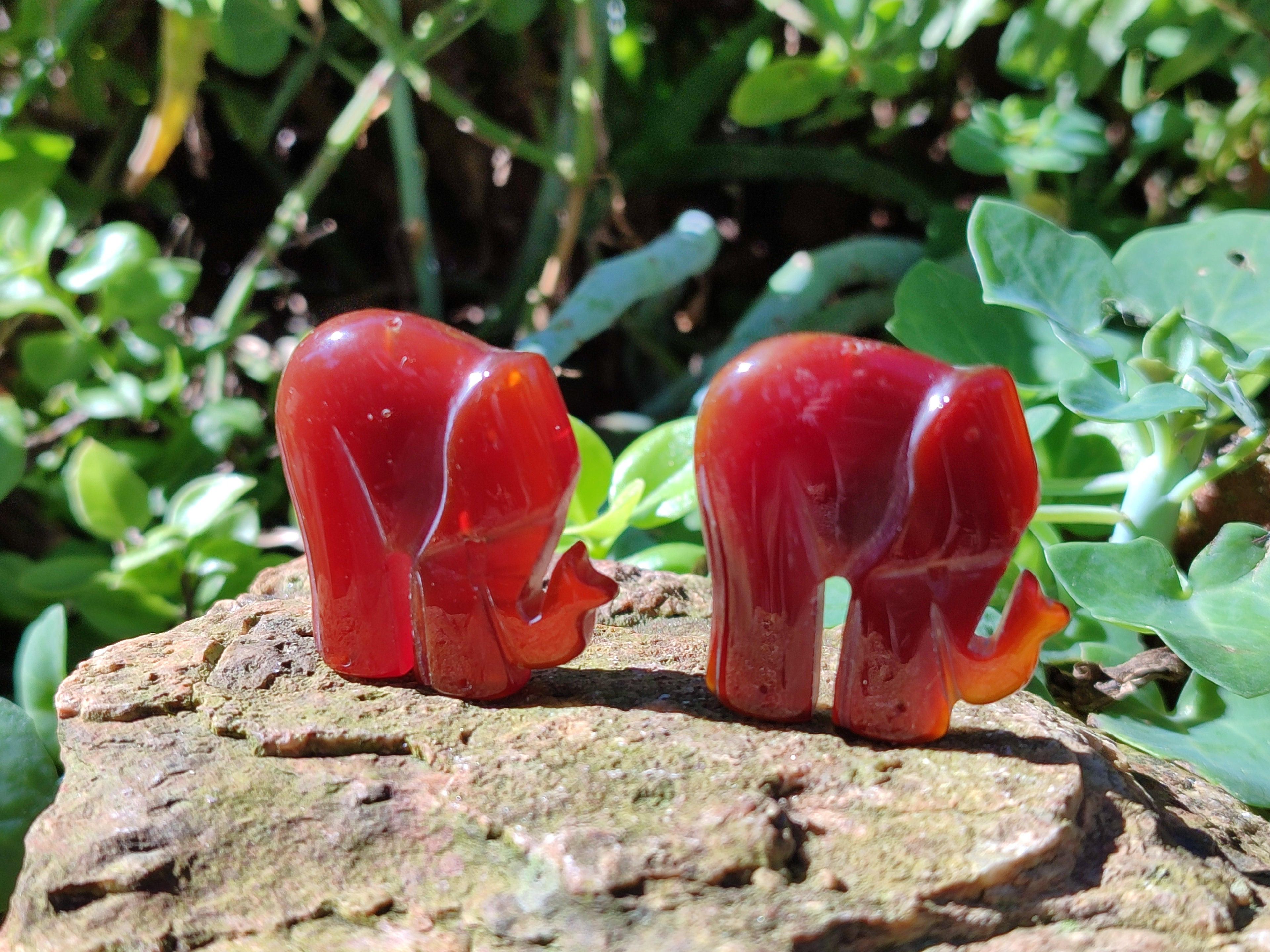 Polished Carnelian Agate Elephant Fridge Magnets - Sold per Item - From China - Toprock Gemstones and Minerals 