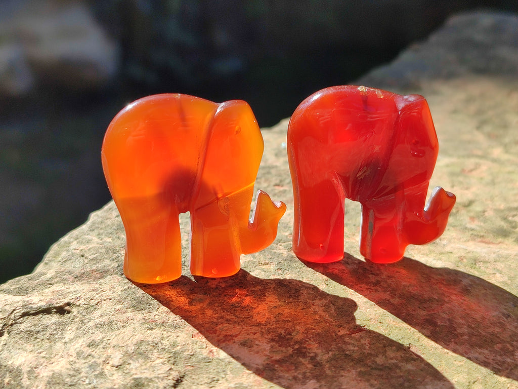 Polished Carnelian Agate Elephant Fridge Magnets - Sold per Item - From China - Toprock Gemstones and Minerals 