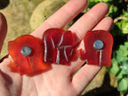 Polished Carnelian Agate Elephant Fridge Magnets - Sold per Item - From China - Toprock Gemstones and Minerals 