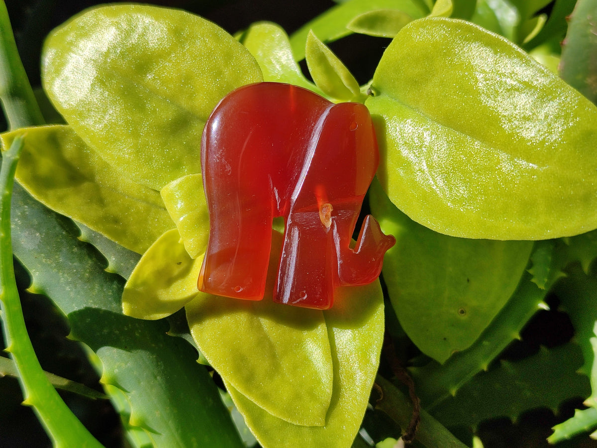 Polished Carnelian Agate Elephant Fridge Magnets - Sold per Item - From China - Toprock Gemstones and Minerals 