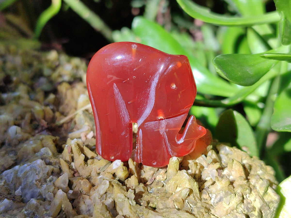 Polished Carnelian Agate Elephant Fridge Magnets - Sold per Item - From China - Toprock Gemstones and Minerals 