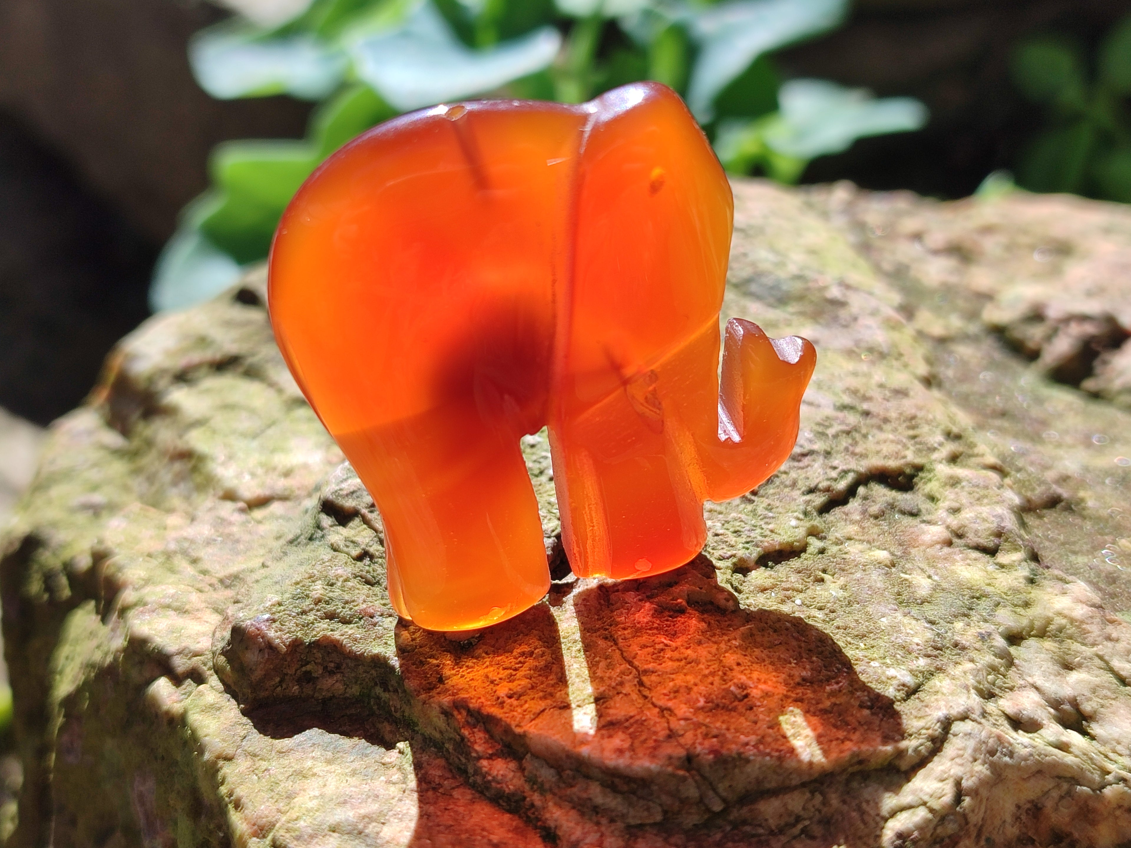 Polished Carnelian Agate Elephant Fridge Magnets - Sold per Item - From China - Toprock Gemstones and Minerals 