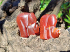 Polished Carnelian Agate Elephant Fridge Magnets - Sold per Item - From China - Toprock Gemstones and Minerals 