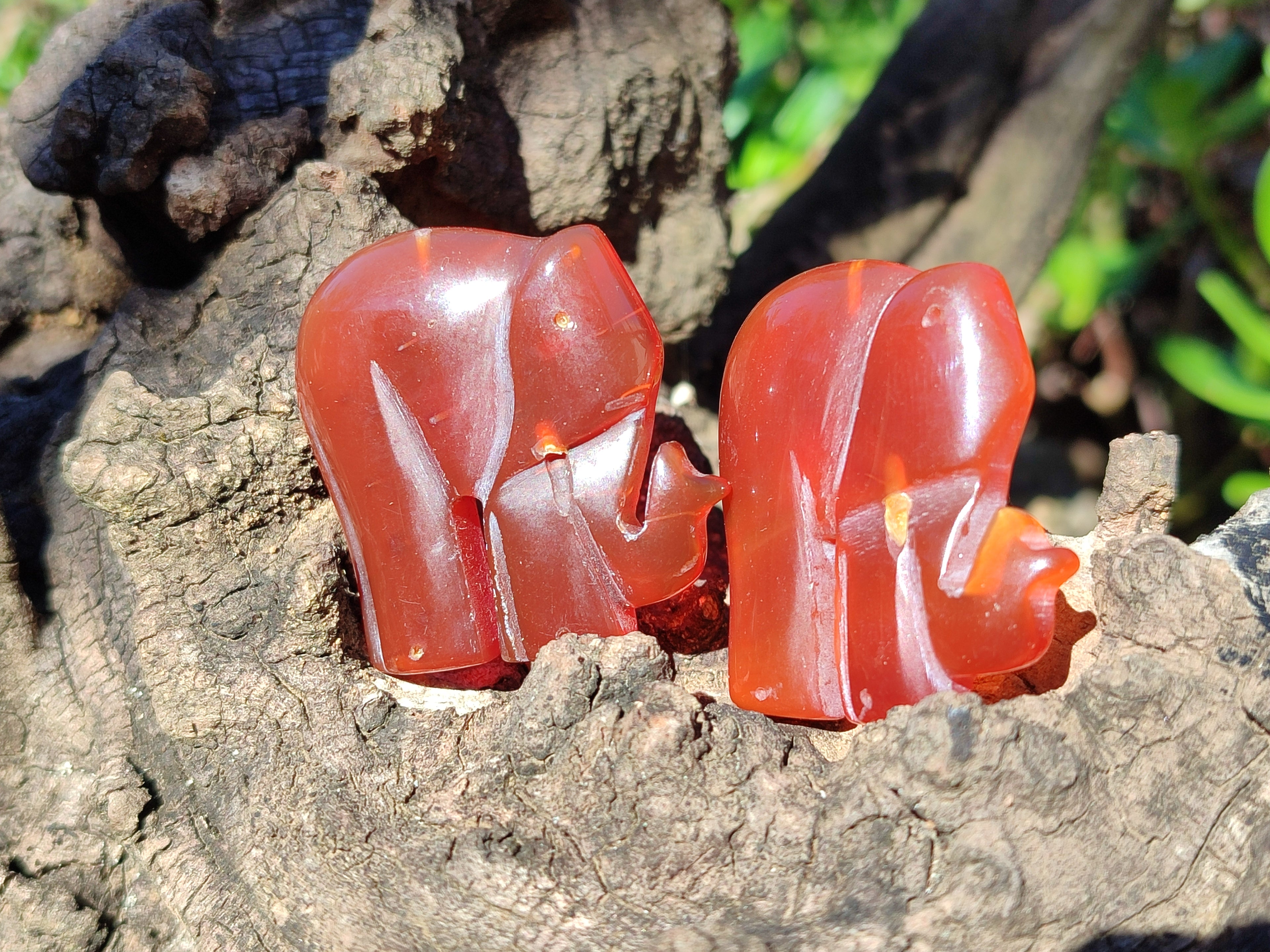 Polished Carnelian Agate Elephant Fridge Magnets - Sold per Item - From China - Toprock Gemstones and Minerals 