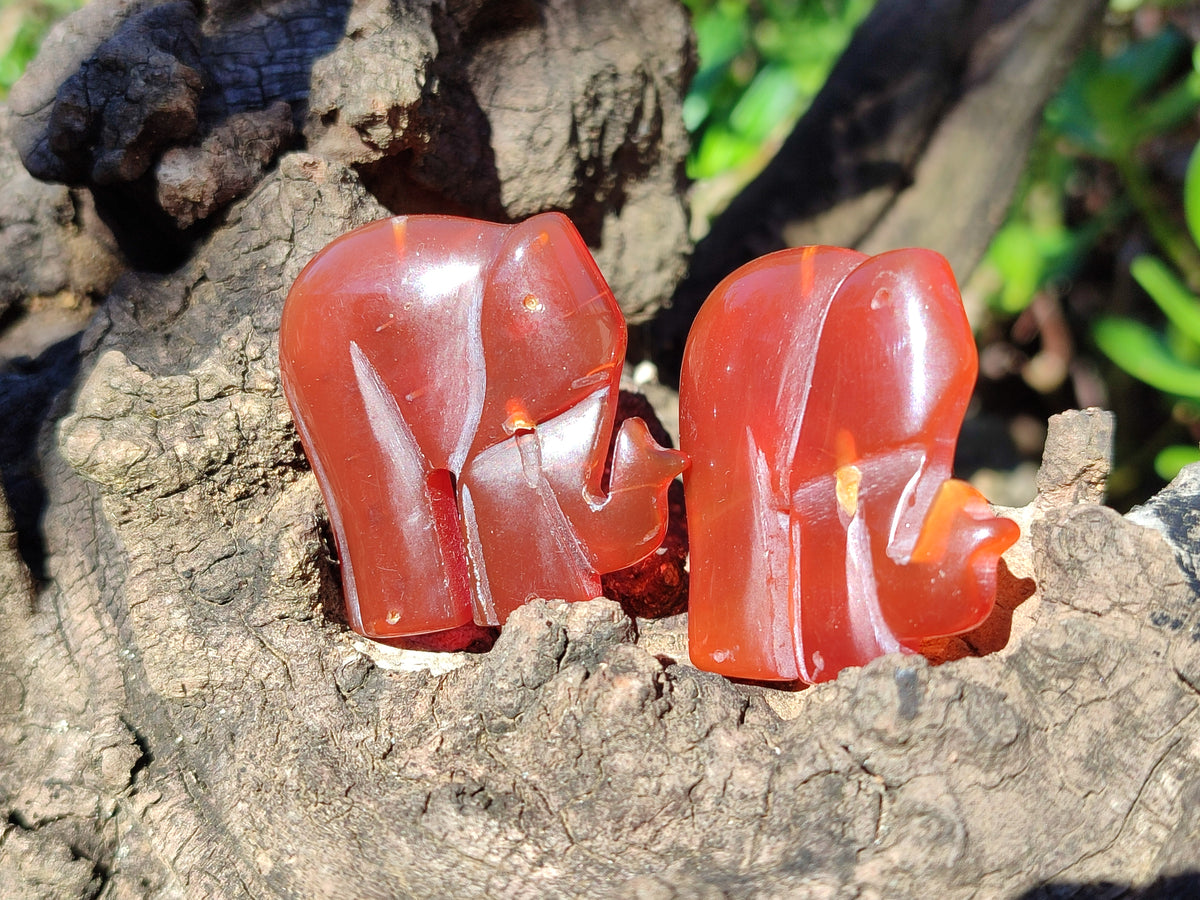 Polished Carnelian Agate Elephant Fridge Magnets - Sold per Item - From China - Toprock Gemstones and Minerals 