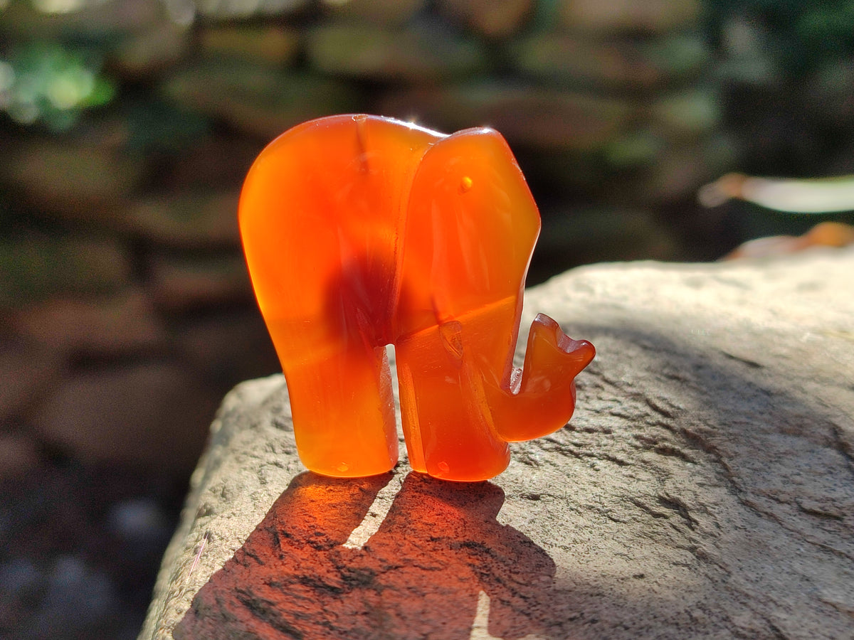 Polished Carnelian Agate Elephant Fridge Magnets - Sold per Item - From China - Toprock Gemstones and Minerals 