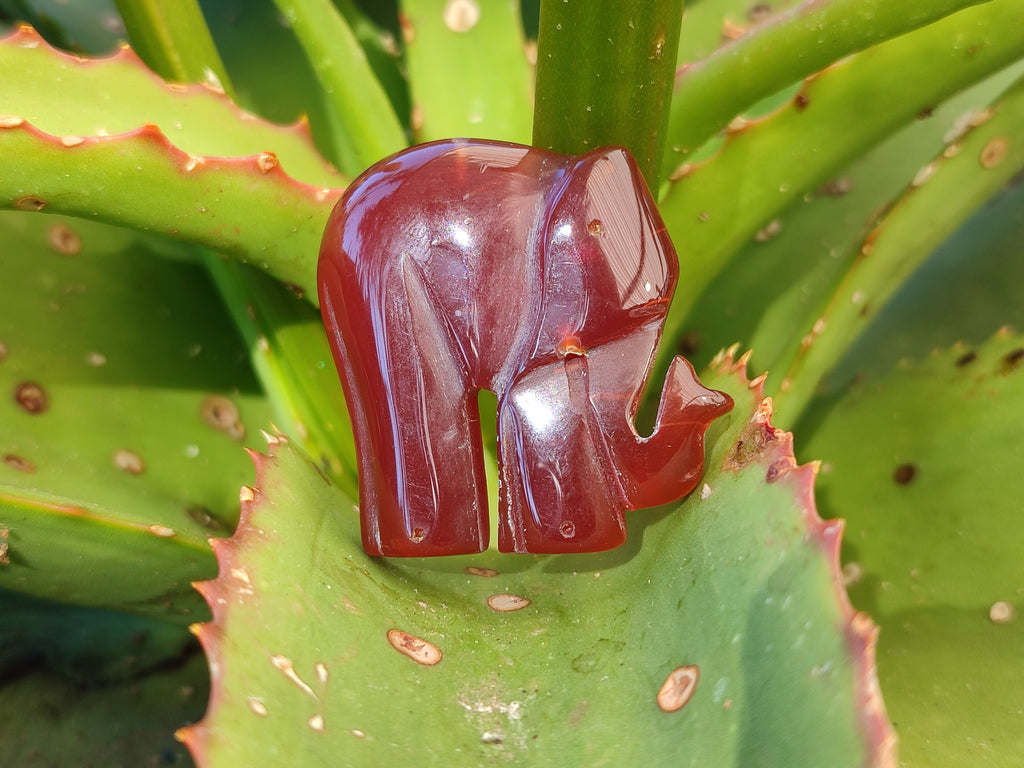 Polished Carnelian Agate Elephant Fridge Magnets - Sold per Item - From China - Toprock Gemstones and Minerals 