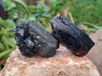 Natural Fibrous Schorl Black Tourmaline Crystals x 12 From Erongo, Namibia - Toprock Gemstones and Minerals 