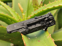 Natural Fibrous Schorl Black Tourmaline Crystals x 12 From Erongo, Namibia - Toprock Gemstones and Minerals 
