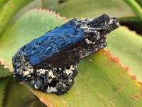 Natural Fibrous Schorl Black Tourmaline Crystals x 12 From Erongo, Namibia - Toprock Gemstones and Minerals 