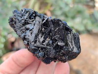 Natural Fibrous Schorl Black Tourmaline Crystals x 12 From Erongo, Namibia - Toprock Gemstones and Minerals 