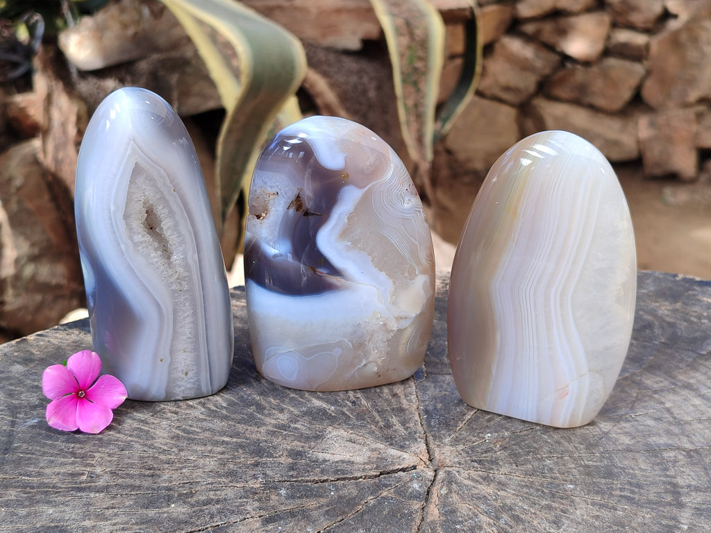Polished Banded Agate Standing Free Forms x 3 From Madagascar - Toprock Gemstones and Minerals 